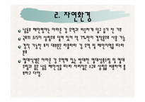 [식생활문화] 브라질의 식생활 문화와 식습관 조사-12