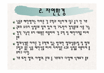 [식생활문화] 브라질의 식생활 문화와 식습관 조사-13