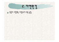 [식생활문화] 브라질의 식생활 문화와 식습관 조사-14