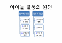 [사회학] 연예계 아이돌 연습생의 인권문제와 해결방안-13