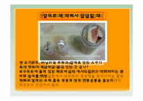[현대인의 식생활] 음료수가 우리 몸에 미치는 긍정적 영향과 부정적 영향-15