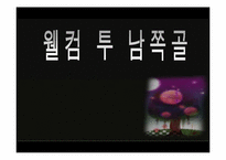 [사회복지] 새터민의 한국정착을 위한 자원봉사 프로그램 계획서-2