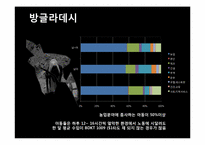 [사회과학] 인도, 방글라데시, 브라질 아동노동 착취 현황 및 대안책-11