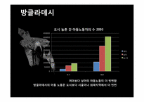 [사회과학] 인도, 방글라데시, 브라질 아동노동 착취 현황 및 대안책-13