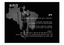 [사회과학] 인도, 방글라데시, 브라질 아동노동 착취 현황 및 대안책-15