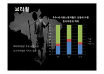 [사회과학] 인도, 방글라데시, 브라질 아동노동 착취 현황 및 대안책-17
