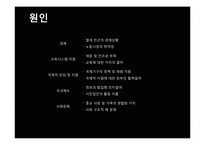 [사회과학] 인도, 방글라데시, 브라질 아동노동 착취 현황 및 대안책-20