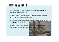 춘곤증을 이겨내는 방법-16