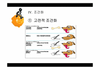 [행동주의적 성격이론] 스키너의 행동주의적 학습이론-19