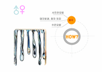 [기술과 사회] 피임과 사회-4
