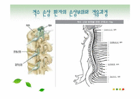 [사회복지] 척수손상환자의 심리, 사회문제와 의료사회복지 서비스-5