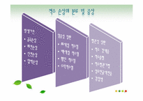 [사회복지] 척수손상환자의 심리, 사회문제와 의료사회복지 서비스-8