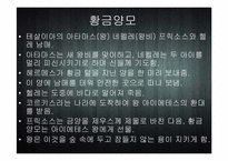 [세계신화의 이해] 이아손과 아르곤 원정대-8