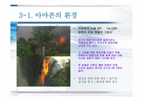 [미디어와 현대사회] TV다큐`아마존의 눈물` 분석(의제설정 이론적용)-10
