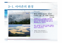 [미디어와 현대사회] TV다큐`아마존의 눈물` 분석(의제설정 이론적용)-11