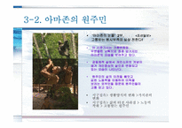 [미디어와 현대사회] TV다큐`아마존의 눈물` 분석(의제설정 이론적용)-13