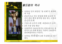 [문화사의 이해] 월드컵 응원문화와 월드컵의 영향-6