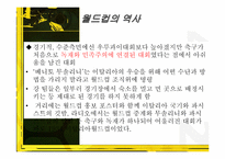 [문화사의 이해] 월드컵 응원문화와 월드컵의 영향-9