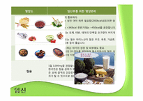 [영양학] 임산부와 영유아를 위한 영양 관리-2