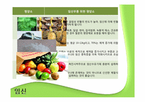 [영양학] 임산부와 영유아를 위한 영양 관리-3