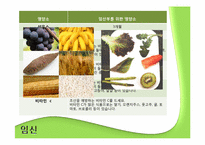 [영양학] 임산부와 영유아를 위한 영양 관리-4