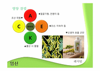 [영양학] 임산부와 영유아를 위한 영양 관리-10