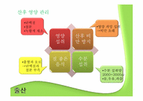 [영양학] 임산부와 영유아를 위한 영양 관리-11