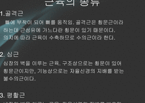 [체육학] 운동과 웨이트 트레이닝-2