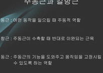 [체육학] 운동과 웨이트 트레이닝-4