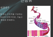 [체육학] 운동과 웨이트 트레이닝-5