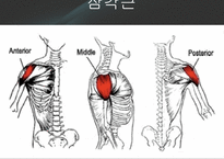 [체육학] 운동과 웨이트 트레이닝-8