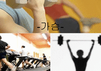 [체육학] 운동과 웨이트 트레이닝-14