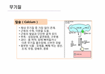 [운동과 영양] 영양소의 종류와 역할-17