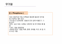 [운동과 영양] 영양소의 종류와 역할-18