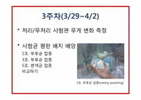 [목재보존학] 목재 방부제의 방부 효력성 규명 실험 보고서-10