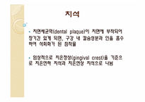 [임상실습] 치주 질환을 유발하는 치면세균막과 치석의 형성 기전 및 치석제거술-16