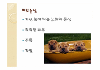 [건강과 삶] 노화와 Anti-Aging 안티에이징-9