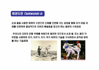 태권도(Taekwondo)의 정신과 역사의 이해-3