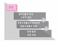 캐릭터산업을 중심으로 한 대형쇼핑몰과 전문쇼핑몰의 비교-17