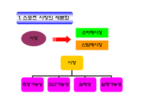스포츠마케팅 레포트-3