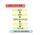 스포츠마케팅 레포트-10