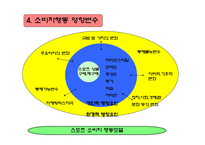 스포츠마케팅 레포트-16