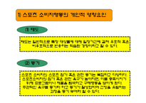 스포츠마케팅 레포트-17