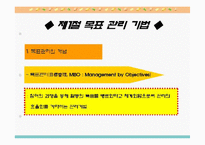 과업평가, 총체적질경영, 목표관리,기획예산, 영기준,정보관리체제-1