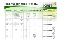한국의료관광산업 입문-13