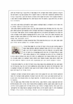 [소비자행동론] 웅진식품 쌀음료 `아침햇살`의 소비자들에 대한 전략 - 새로운 음료시장을 개척한 선도자 `아침햇살`-5