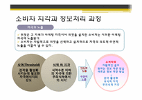 [글로벌 고객의 이해] 위젯(WIDGET) 마케팅 분석(유니클로, 디오스, LG텔레콤 성공사례 중심)-13