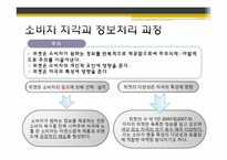 [글로벌 고객의 이해] 위젯(WIDGET) 마케팅 분석(유니클로, 디오스, LG텔레콤 성공사례 중심)-14
