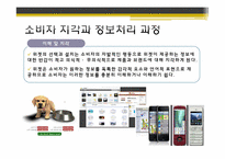 [글로벌 고객의 이해] 위젯(WIDGET) 마케팅 분석(유니클로, 디오스, LG텔레콤 성공사례 중심)-15