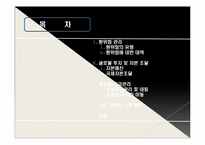 [국제경영] 글로벌 경영 활동의 재무적, 회계적 통제-2